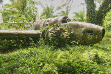 Wreck Of American Bomber Crashed In Jungle Vegetation During World War II