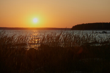 beautiful sunset on the gulf of finland. typical northern summer landscape.