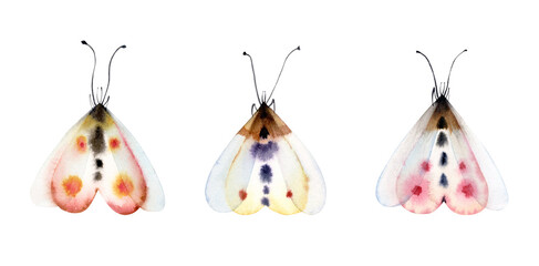 Watercolor butterflies set. Collection of colorful insects isolated on white. Detailed white, yellow, pink wings. Hand painted summer illustration