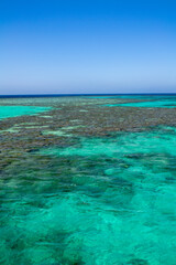 red sea coral reef and blue sky. el gouna, egypt