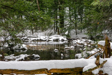 Snow Covered Trees In Winter. A Stream Approaches A Snow Covered Log In The Foreground On A Mild Winter Day. Snow, Rocks, And Trees Are Visible In This Winter Scene.