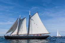 USA, Massachusetts, Cape Ann, Gloucester. Gloucester Schooner Festival, Schooner Parade Of Sail.