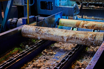 Wood processing at a sawmill. Preparation of a log for the production of plywood and veneer, sawing and cleaning of blanks in a woodworking plant, a technological line