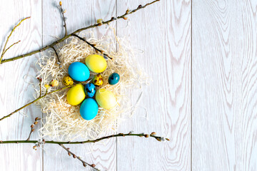 colorful yellow and blue chicken and quail easter eggs in nest with willow branches, spring, easter concept