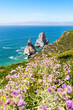 © Ega Birk/Westend61 - Sea with stack rocks with purple wildflowers in foreground