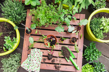 Assorted Potted Plants And Gardening Tools On Balcony