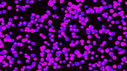 Poster - Message notification icon set isolated on black background, motion graphics. Animation. Bright purple and pink cloud of dialog circles floating into the same direction.