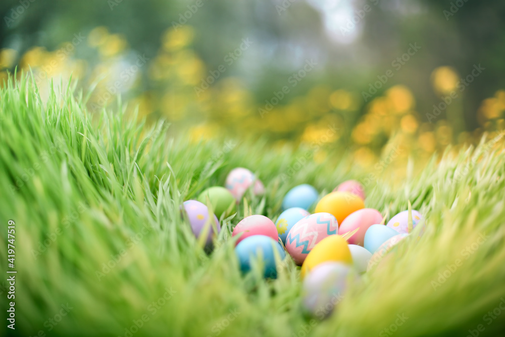 Colorful painted Easter eggs hidden in grass for an Easter egg hunt. - obrazy, fototapety, plakaty 
