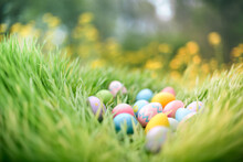 Colorful Painted Easter Eggs Hidden In Grass For An Easter Egg Hunt.