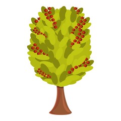 Poster - Coffee tree icon. Cartoon of coffee tree vector icon for web design isolated on white background