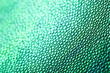 © Yana Mirta - Imitation of green scales. Abstract background with artificial shiny leather shot close up