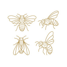 Honeybee Line Art Clipart Set. Linear Collection Of Doodle Bees. Vector Illustration Isolated On White Background. Simple Hand Drawn Beekeeping Design Elements.