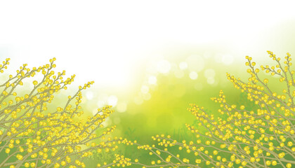 Wall Mural - vector mimosa flowers on bokeh, green background. spring landscape.