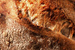 Crust of homemade artisan bread close-up, texture of freshly baked wheat bread