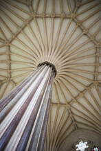 The Chapter House Vaulting Showing The Central Column And The Ribbed Ceiling Detail In The Wells Cathedral In Wells, Somerset, England.