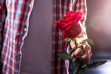 First date. Rose in male hand. Man with rose lifestyle dressed.