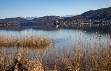 Reeds on Lake Wörthersee