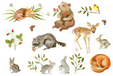 Fototapeta Dziecięca - Animals babies set: deer, bear, rabbits ore hares, raccoon, fox, bird on branch, butterflies. Hand drawn watercolor illustration. Isolated on white background