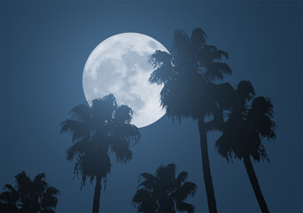 Wall Mural - nice moon and palms