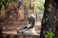 THAILAND AYUTTHAYA.  Wat Phra Mahatat, Built In The 14th Century, Area Dotted With Small Chedis And Khmer Towers Notably Has A Head Of A Buddha Statue Where Tree Roots Have Grown Around