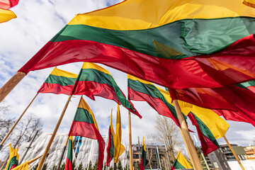 Lithuanian flags waving in a wind 