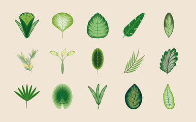 Sticker - set leaf leaves