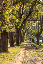 Old And Neglected Tram Track, On A Tramway Line Of Szeged, Hungary, With Grass Growing And Trees Around. The Railway Line Is In Poor Condition Due To Neglected Maintenance. 