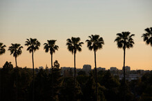 Palm Lined Sunset View Of The Downtown Skyline Of Anaheim, California, USA.