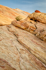 Canvas Print - USA, Nevada, Valley of Fire State Park, Rock striations at sunrise