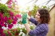 © Stocked House Studio - happy female workers trimming plants in greenhouse