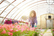 © Stocked House Studio - happy female workers trimming plants in greenhouse