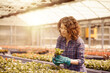 © Stocked House Studio - happy female workers trimming plants in greenhouse