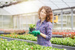 © Stocked House Studio - happy female workers trimming plants in greenhouse