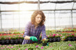 © Stocked House Studio - happy female workers trimming plants in greenhouse