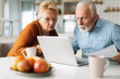 © Goran - Shocked senior couple reading their home finances on laptop