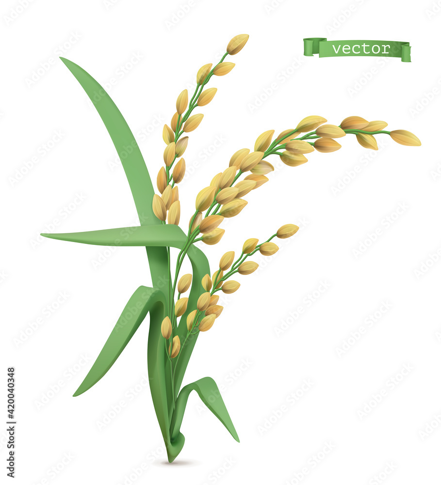 2d Rice Vector Rice plant. 3d realistic vector icon Stock Vector | Adobe Stock
