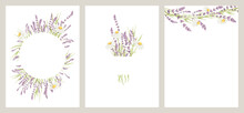 Summer Bouquet. Birthday Or Wedding Cards. Vector Design Element, Wreaths Of Lavender And Chamomile, Medicinal Herbs.