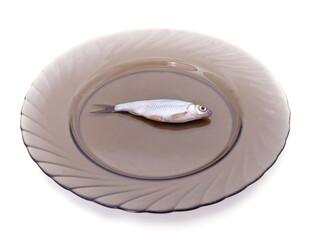 Wall Mural - A small fish on a brown bowl.