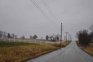 Wall Mural - Rural Road