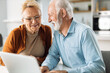 © Goran - Happy mature couple surfing the Internet on laptop at home