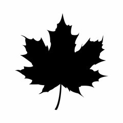 Wall Mural - Maple leaf icon isolated on the white background. Design element. Vector illustration.