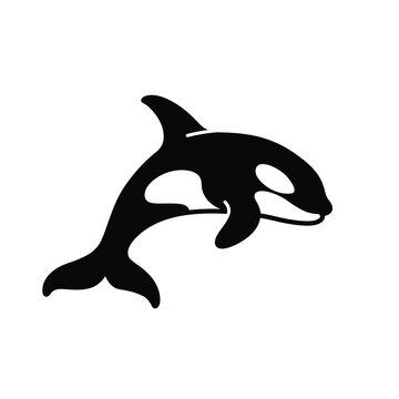 Cartoon killer whale. Vector illustration.