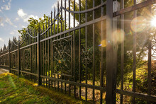 Wrought Iron Fence. Metal Fence