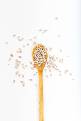 Wall Mural - Fresh sunflower seeds in wooden spoon on white background.