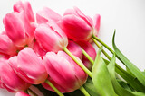 Fototapeta Tulipany - greeting card design. spring bouquet. beautiful large bouquet of tulips and space for text 