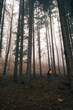 © Vittorio - Boy looking, from below, the immensity of a forest with an orange backpack on his shoulders.