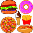 Collection of   delicious colorful fast food illustration vector