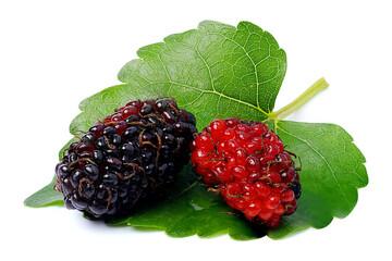 Two organic Mulberry fruits with green leaves.