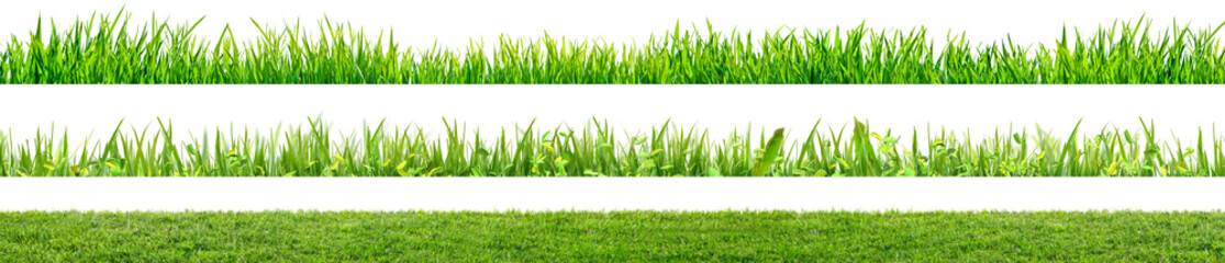 Wall Mural - a set of green grass field isolated on white background