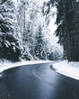 Road with Snow in the Bavarian Forest